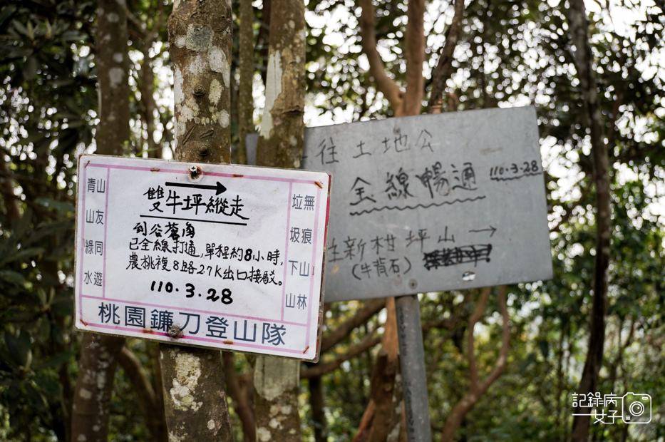 18桃園新竹小百岳石牛山步道拉繩攀岩五寮尖.jpg