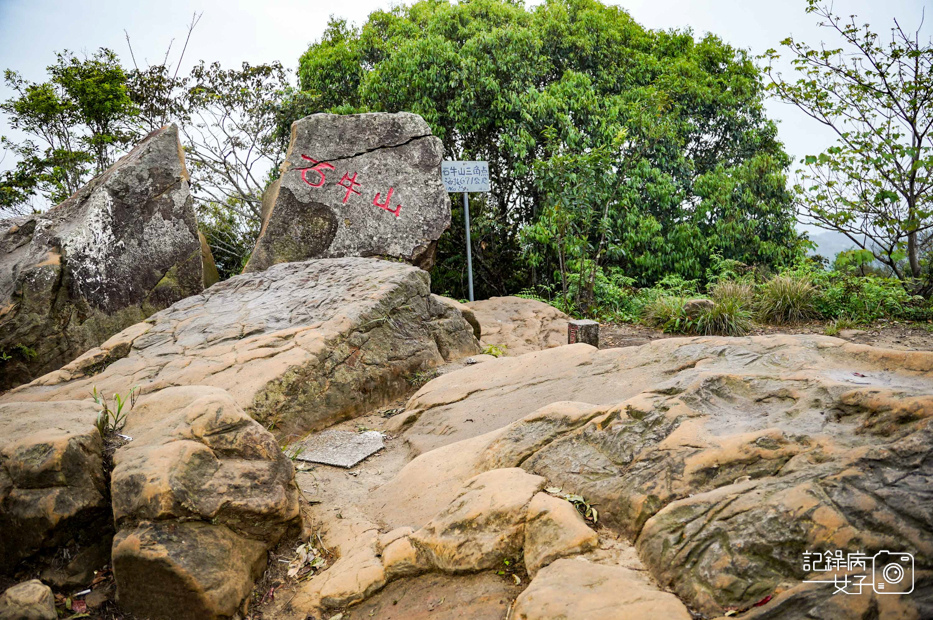 20桃園新竹小百岳石牛山步道拉繩攀岩五寮尖.jpg