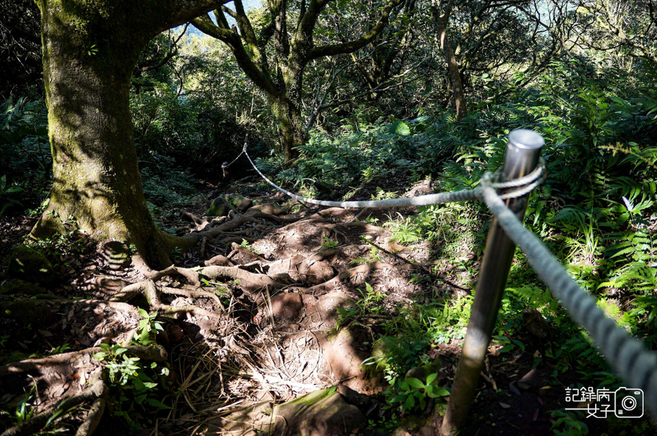 24健行筆記台北大縱走大屯山連峰步道陽明山小百岳大屯山主峰西峰南峰百大必訪步道.jpg