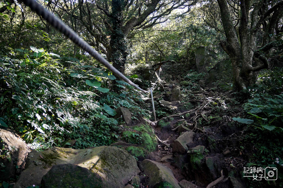 25健行筆記台北大縱走大屯山連峰步道陽明山小百岳大屯山主峰西峰南峰百大必訪步道.jpg