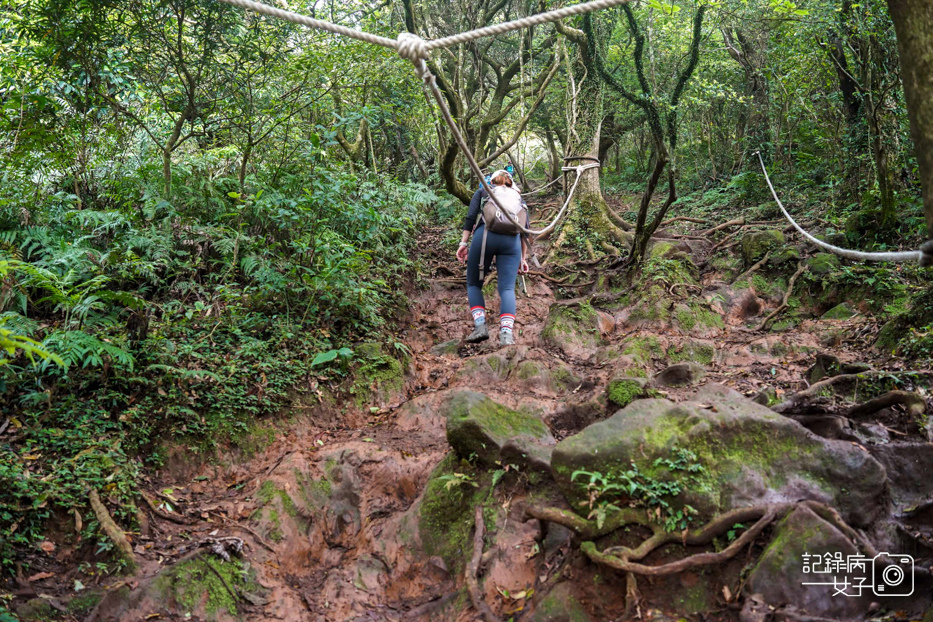 39健行筆記台北大縱走大屯山連峰步道陽明山小百岳大屯山主峰西峰南峰百大必訪步道.jpg