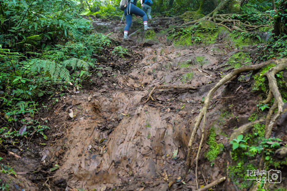 40健行筆記台北大縱走大屯山連峰步道陽明山小百岳大屯山主峰西峰南峰百大必訪步道.jpg
