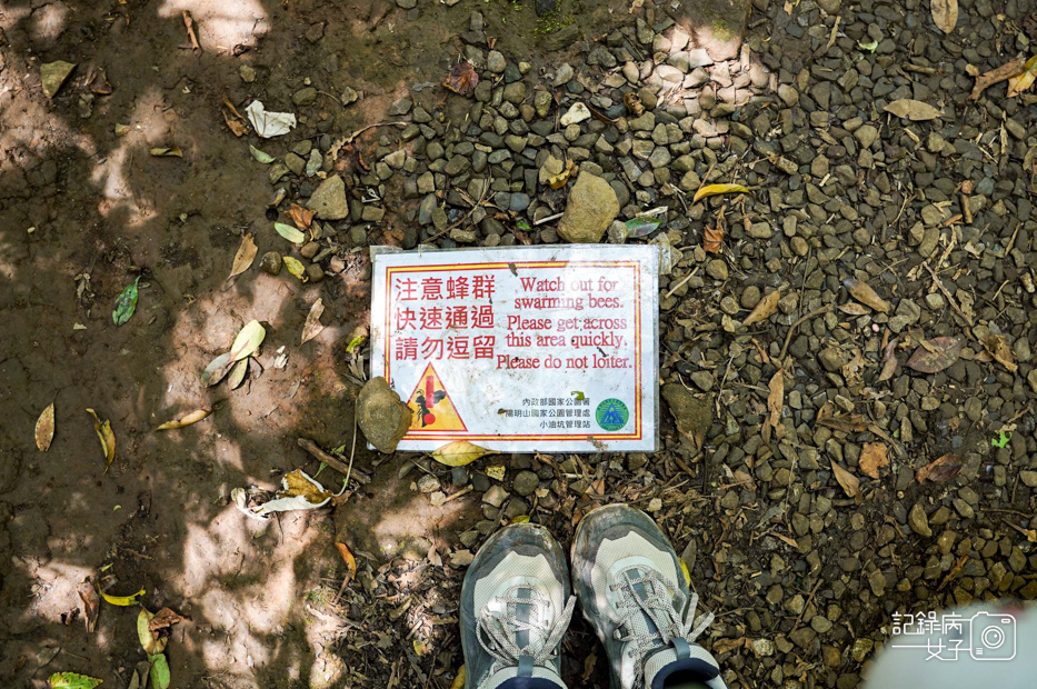 46健行筆記台北大縱走大屯山連峰步道陽明山小百岳大屯山主峰西峰南峰百大必訪步道.jpg