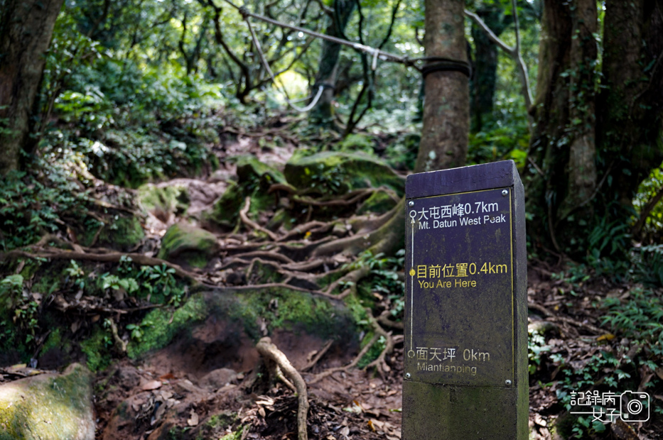 50健行筆記台北大縱走大屯山連峰步道陽明山小百岳大屯山主峰西峰南峰百大必訪步道.jpg