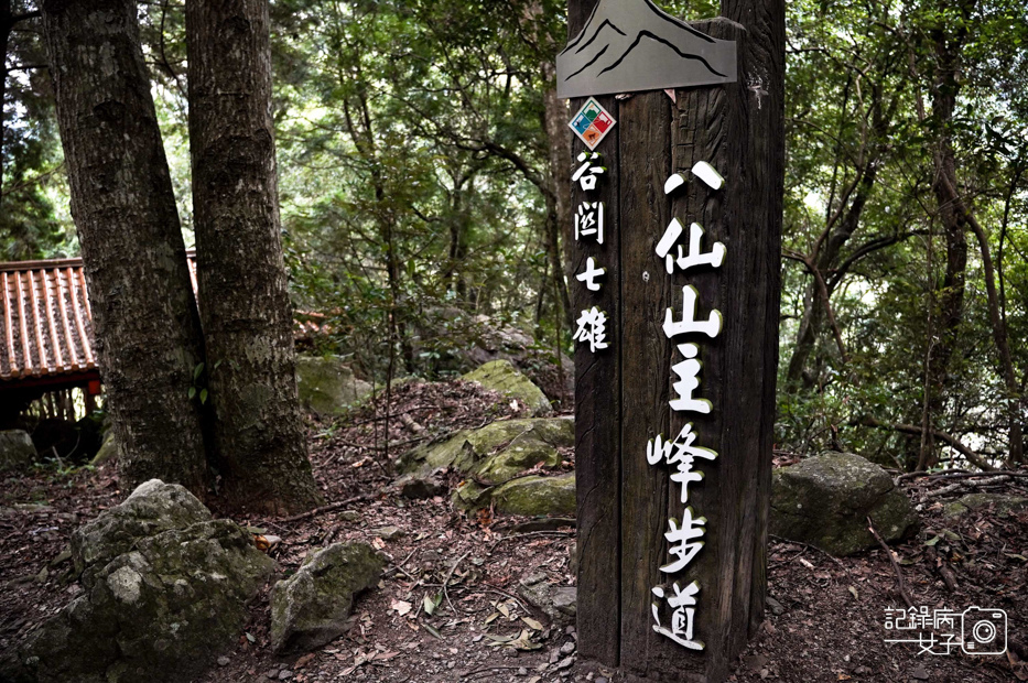 5台中和平區谷關七雄八仙山國家森林遊樂區健行筆記步道山頂鳥.jpg