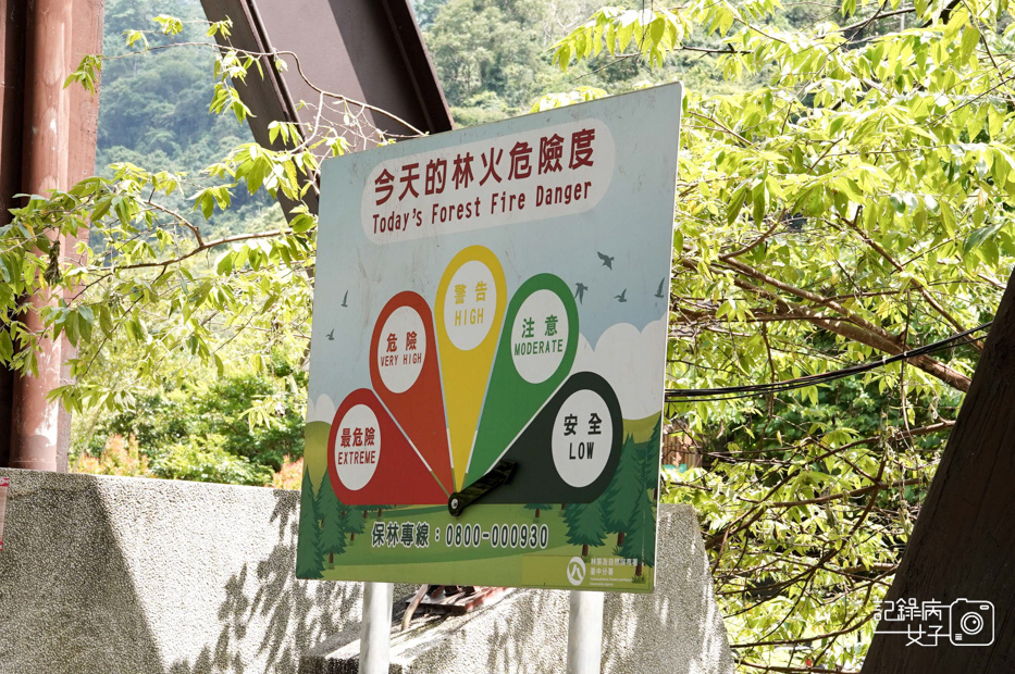 2台中和平區谷關七雄八仙山國家森林遊樂區健行筆記步道山頂鳥.jpg