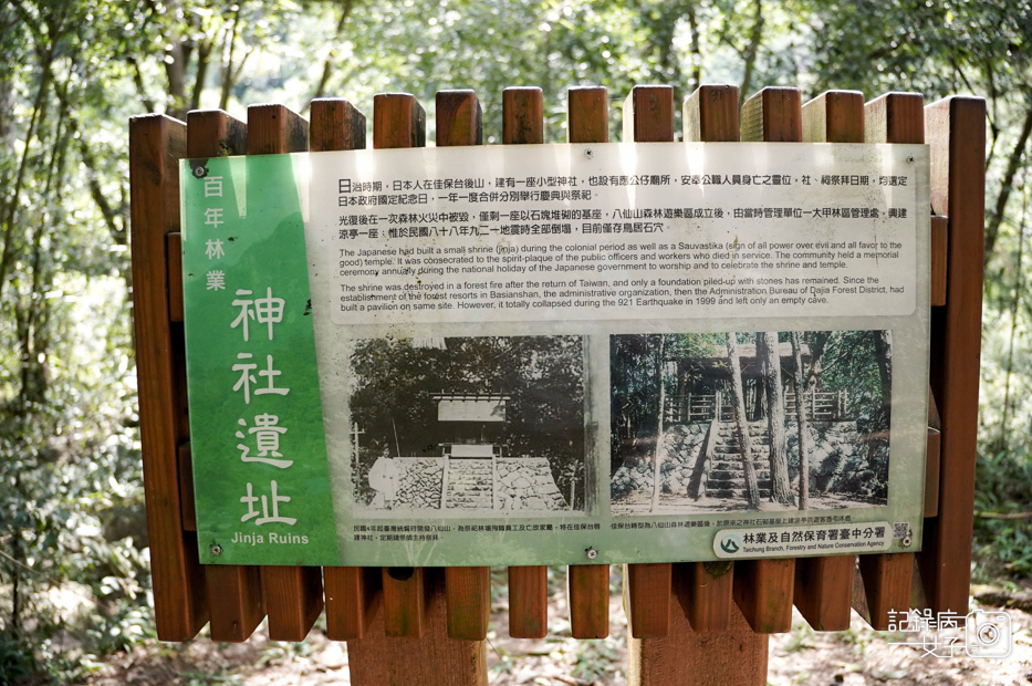 13台中和平區谷關七雄八仙山國家森林遊樂區健行筆記步道山頂鳥.jpg