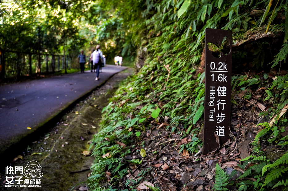 8新北三峽景點滿月圓森林遊樂區步道滿月圓山處女瀑布健行筆記山頂鳥.jpg 8新北三峽景點滿月圓森林遊樂區步道滿月圓山處女瀑布健行筆記山頂鳥.jpg