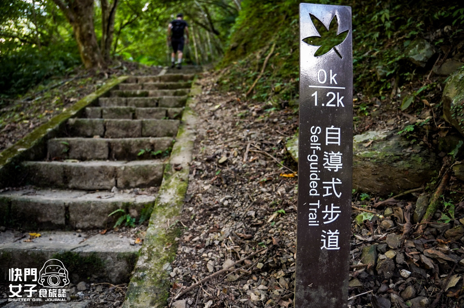 12新北三峽景點滿月圓森林遊樂區步道滿月圓山處女瀑布健行筆記山頂鳥.jpg 12新北三峽景點滿月圓森林遊樂區步道滿月圓山處女瀑布健行筆記山頂鳥.jpg
