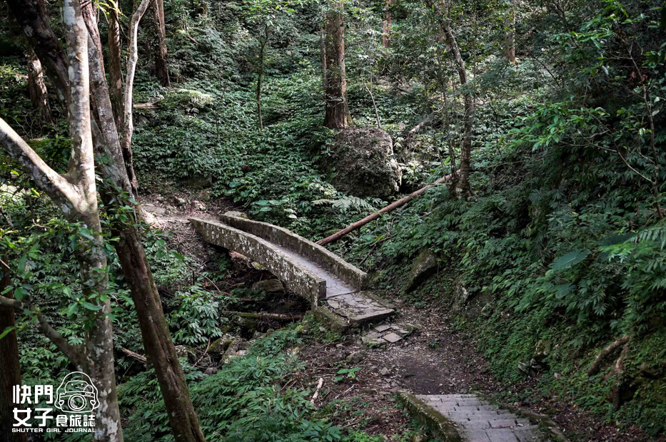 16新北三峽景點滿月圓森林遊樂區步道滿月圓山處女瀑布健行筆記山頂鳥.jpg 16新北三峽景點滿月圓森林遊樂區步道滿月圓山處女瀑布健行筆記山頂鳥.jpg