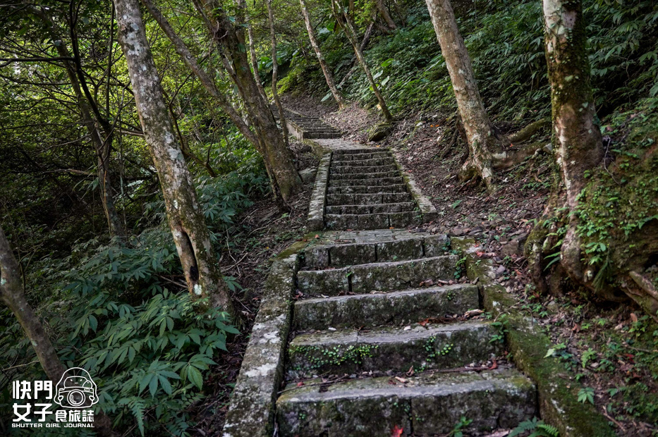 13新北三峽景點滿月圓森林遊樂區步道滿月圓山處女瀑布健行筆記山頂鳥.jpg 13新北三峽景點滿月圓森林遊樂區步道滿月圓山處女瀑布健行筆記山頂鳥.jpg