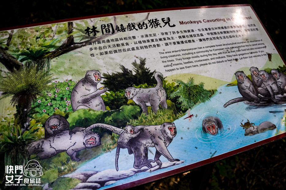 18新北三峽景點滿月圓森林遊樂區步道滿月圓山處女瀑布健行筆記山頂鳥.jpg 18新北三峽景點滿月圓森林遊樂區步道滿月圓山處女瀑布健行筆記山頂鳥.jpg