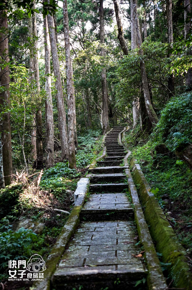 15新北三峽景點滿月圓森林遊樂區步道滿月圓山處女瀑布健行筆記山頂鳥.jpg 15新北三峽景點滿月圓森林遊樂區步道滿月圓山處女瀑布健行筆記山頂鳥.jpg