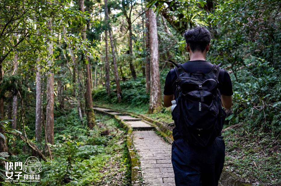 14新北三峽景點滿月圓森林遊樂區步道滿月圓山處女瀑布健行筆記山頂鳥.jpg 14新北三峽景點滿月圓森林遊樂區步道滿月圓山處女瀑布健行筆記山頂鳥.jpg