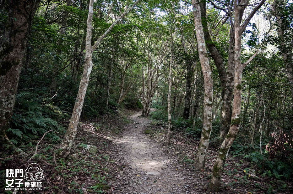 17新北三峽景點滿月圓森林遊樂區步道滿月圓山處女瀑布健行筆記山頂鳥.jpg 17新北三峽景點滿月圓森林遊樂區步道滿月圓山處女瀑布健行筆記山頂鳥.jpg