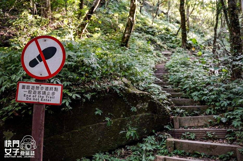 23新北三峽景點滿月圓森林遊樂區步道滿月圓山處女瀑布健行筆記山頂鳥.jpg 23新北三峽景點滿月圓森林遊樂區步道滿月圓山處女瀑布健行筆記山頂鳥.jpg