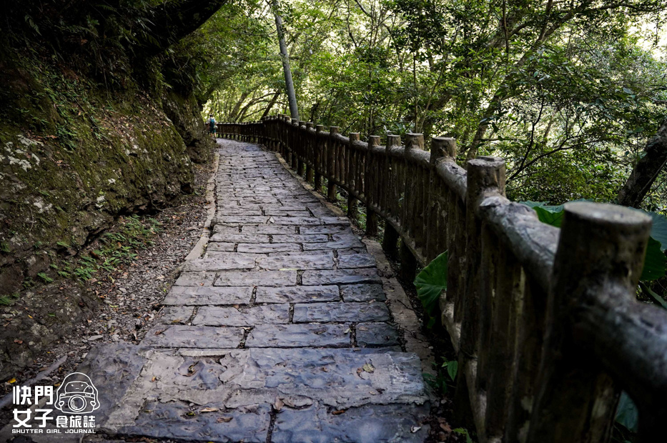 26新北三峽景點滿月圓森林遊樂區步道滿月圓山處女瀑布健行筆記山頂鳥.jpg 26新北三峽景點滿月圓森林遊樂區步道滿月圓山處女瀑布健行筆記山頂鳥.jpg