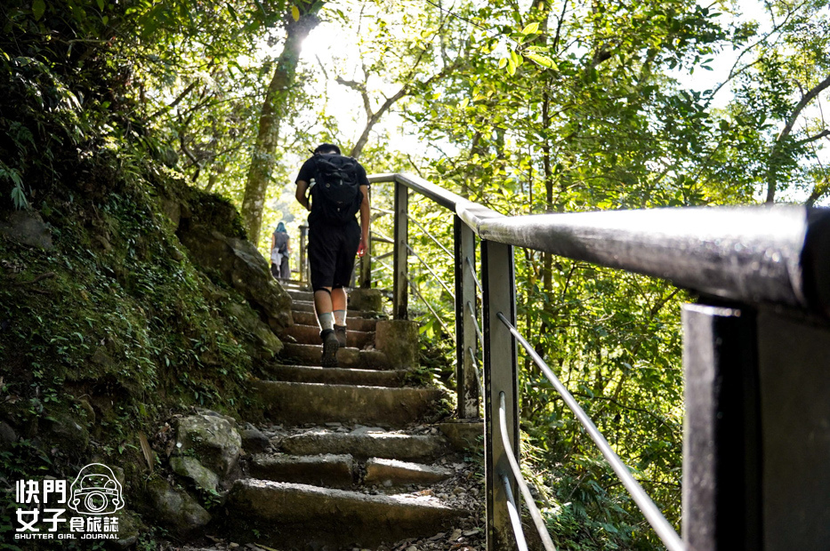 30新北三峽景點滿月圓森林遊樂區步道滿月圓山處女瀑布健行筆記山頂鳥.jpg 30新北三峽景點滿月圓森林遊樂區步道滿月圓山處女瀑布健行筆記山頂鳥.jpg