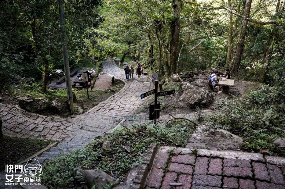 25新北三峽景點滿月圓森林遊樂區步道滿月圓山處女瀑布健行筆記山頂鳥.jpg 25新北三峽景點滿月圓森林遊樂區步道滿月圓山處女瀑布健行筆記山頂鳥.jpg