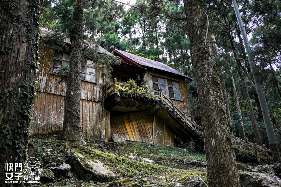 35新北三峽景點滿月圓森林遊樂區步道滿月圓山處女瀑布健行筆記山頂鳥.jpg 35新北三峽景點滿月圓森林遊樂區步道滿月圓山處女瀑布健行筆記山頂鳥.jpg