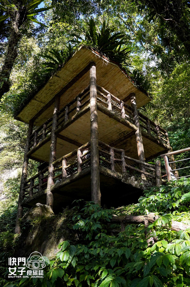 33新北三峽景點滿月圓森林遊樂區步道滿月圓山處女瀑布健行筆記山頂鳥.jpg 33新北三峽景點滿月圓森林遊樂區步道滿月圓山處女瀑布健行筆記山頂鳥.jpg