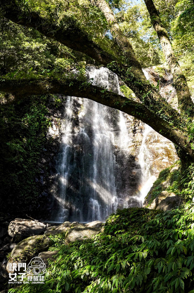 32新北三峽景點滿月圓森林遊樂區步道滿月圓山處女瀑布健行筆記山頂鳥.jpg 32新北三峽景點滿月圓森林遊樂區步道滿月圓山處女瀑布健行筆記山頂鳥.jpg