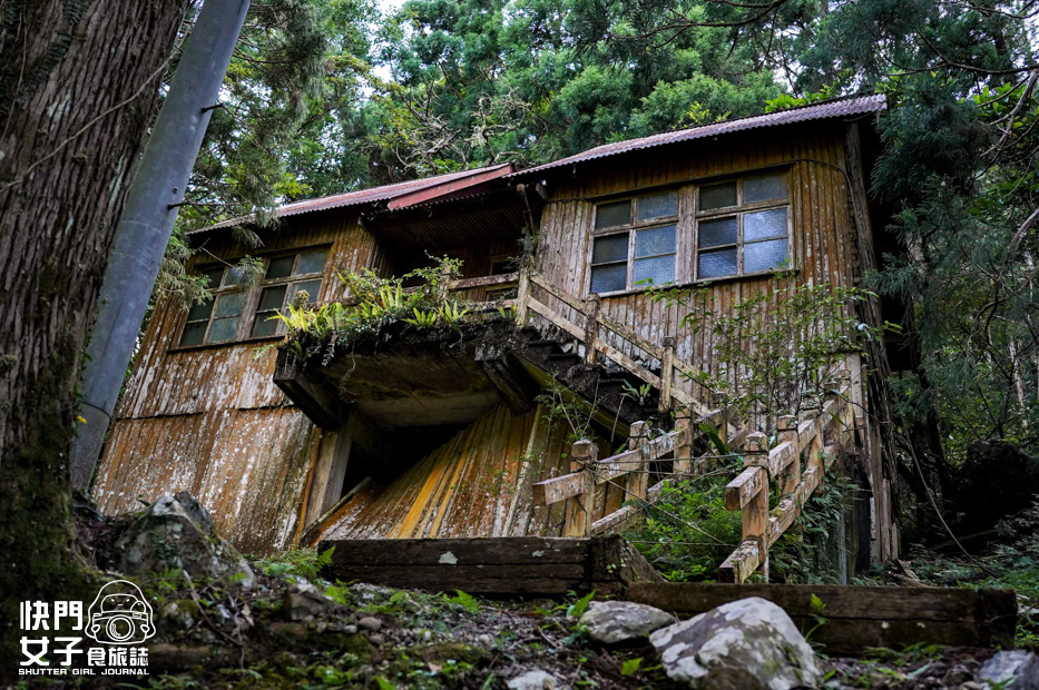 36新北三峽景點滿月圓森林遊樂區步道滿月圓山處女瀑布健行筆記山頂鳥.jpg 36新北三峽景點滿月圓森林遊樂區步道滿月圓山處女瀑布健行筆記山頂鳥.jpg