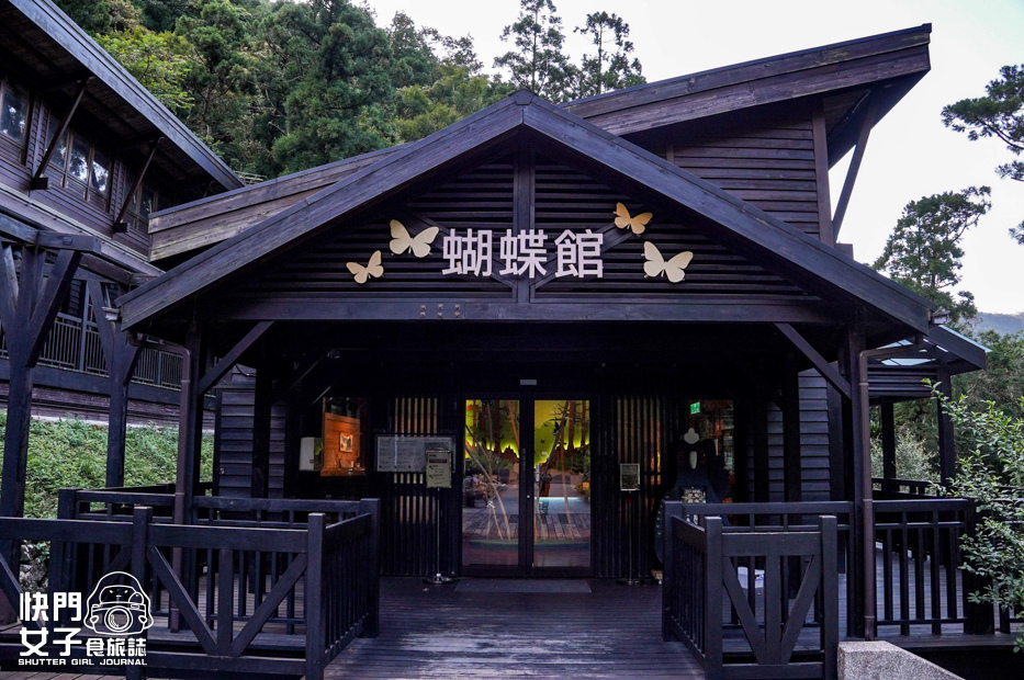 43新北三峽景點滿月圓森林遊樂區步道滿月圓山處女瀑布健行筆記山頂鳥.jpg 43新北三峽景點滿月圓森林遊樂區步道滿月圓山處女瀑布健行筆記山頂鳥.jpg