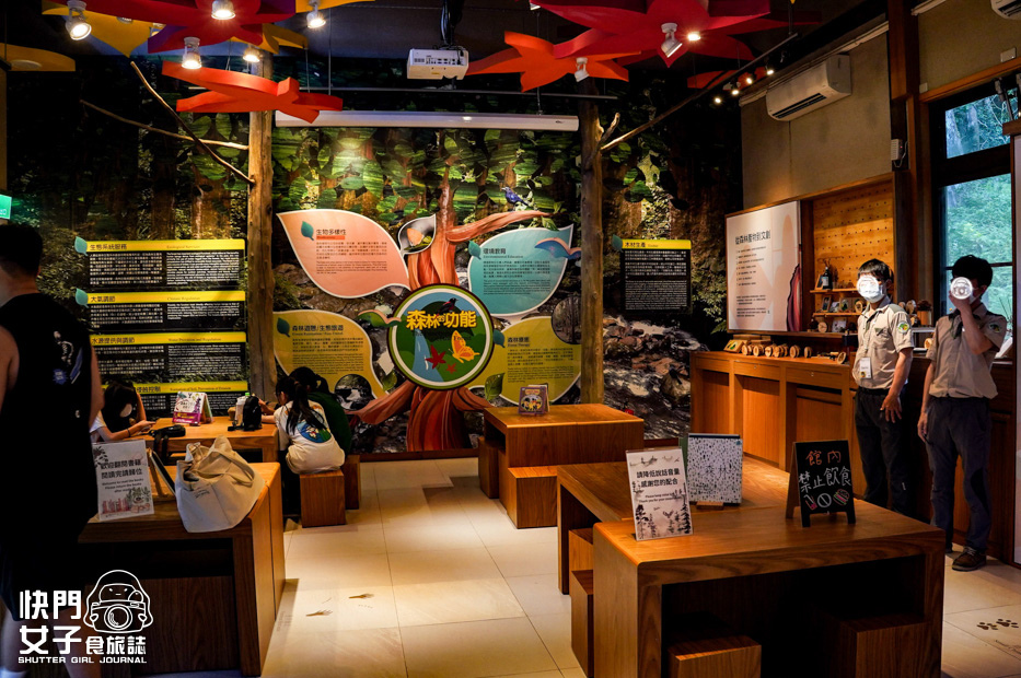 44新北三峽景點滿月圓森林遊樂區步道滿月圓山處女瀑布健行筆記山頂鳥.jpg 44新北三峽景點滿月圓森林遊樂區步道滿月圓山處女瀑布健行筆記山頂鳥.jpg