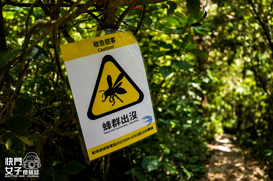 17小百岳觀音山硬漢嶺小鷹尖崩山開山嶺弱者俱樂部.jpg 17小百岳觀音山硬漢嶺小鷹尖崩山開山嶺弱者俱樂部.jpg