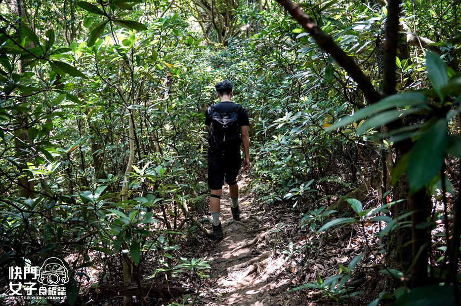 40小百岳觀音山硬漢嶺小鷹尖崩山開山嶺弱者俱樂部.jpg 40小百岳觀音山硬漢嶺小鷹尖崩山開山嶺弱者俱樂部.jpg
