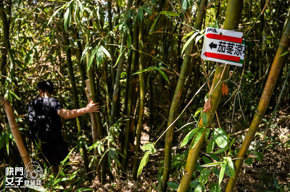 48小百岳觀音山硬漢嶺小鷹尖崩山開山嶺弱者俱樂部.jpg 48小百岳觀音山硬漢嶺小鷹尖崩山開山嶺弱者俱樂部.jpg