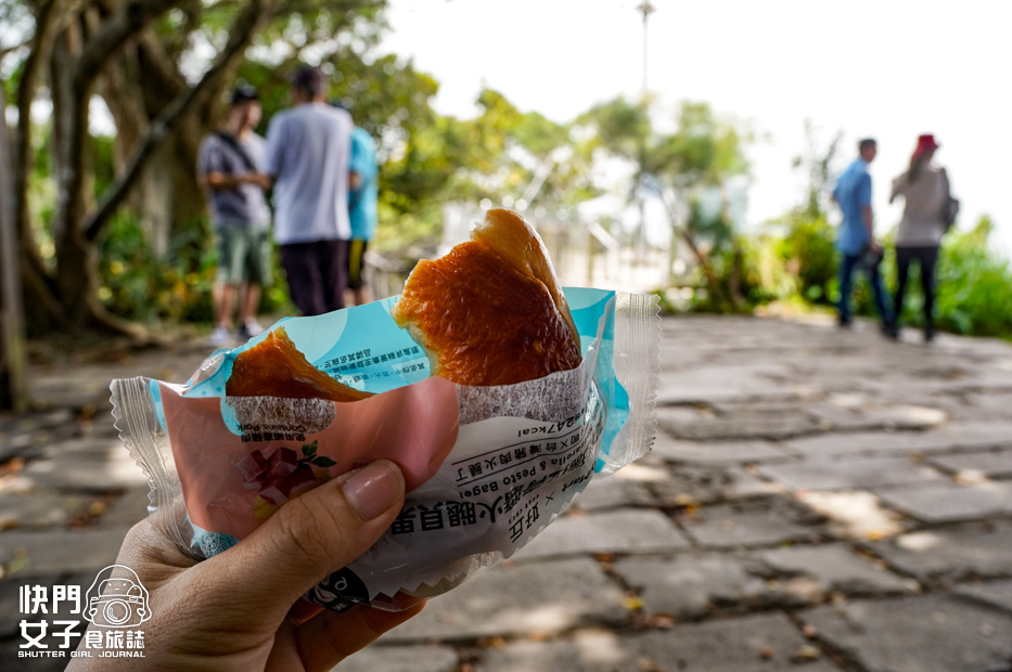 55小百岳觀音山硬漢嶺小鷹尖崩山開山嶺弱者俱樂部.jpg 55小百岳觀音山硬漢嶺小鷹尖崩山開山嶺弱者俱樂部.jpg