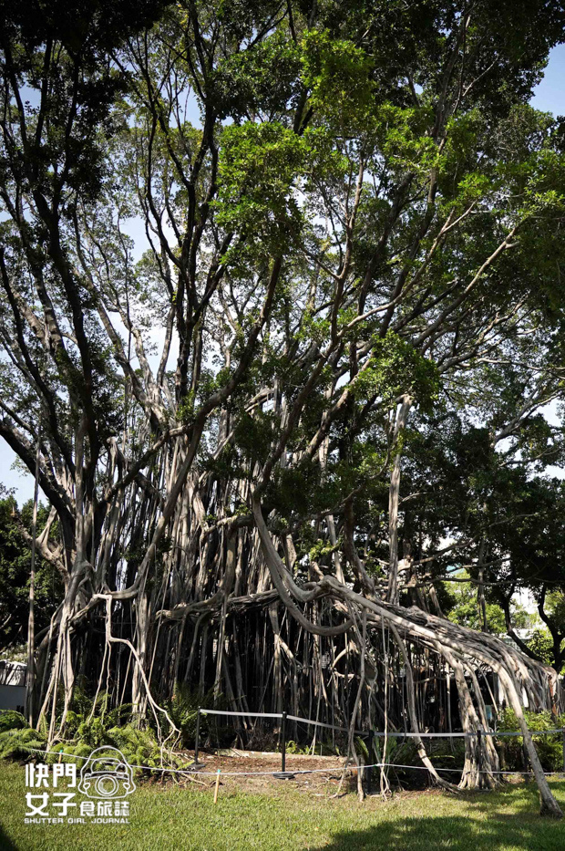 18台中景點國家漫畫博物館臺中刑務所免費漫畫日式宿舍群.jpg 18台中景點國家漫畫博物館臺中刑務所免費漫畫日式宿舍群.jpg