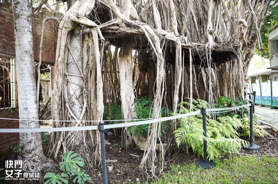 20台中景點國家漫畫博物館臺中刑務所免費漫畫日式宿舍群.jpg 20台中景點國家漫畫博物館臺中刑務所免費漫畫日式宿舍群.jpg