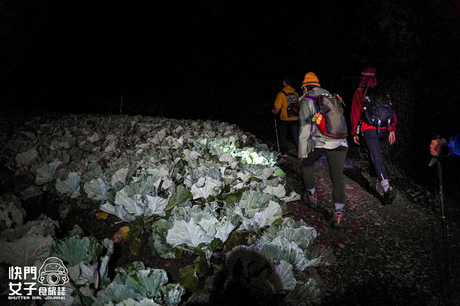 8百岳志佳陽單攻聖品希瑪農莊四季蘭溪吊橋高麗菜園.jpg 8百岳志佳陽單攻聖品希瑪農莊四季蘭溪吊橋高麗菜園.jpg