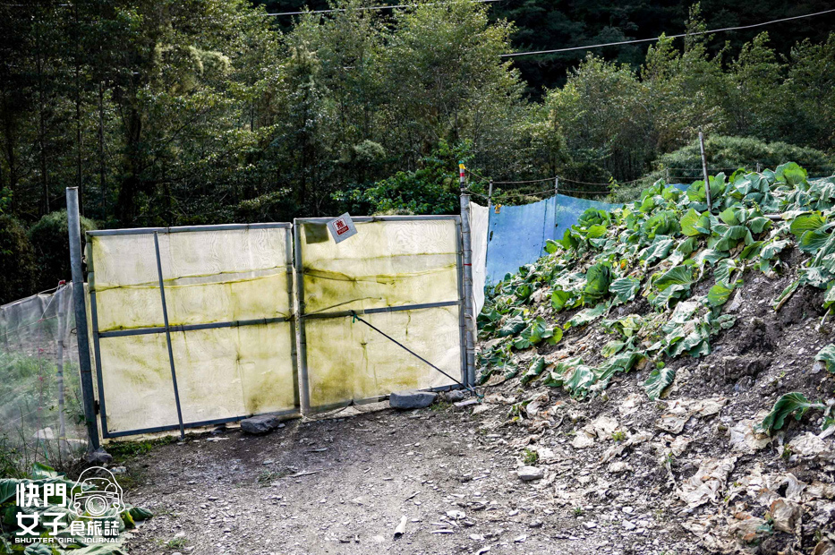 12百岳志佳陽單攻聖品希瑪農莊四季蘭溪吊橋高麗菜園.jpg 12百岳志佳陽單攻聖品希瑪農莊四季蘭溪吊橋高麗菜園.jpg