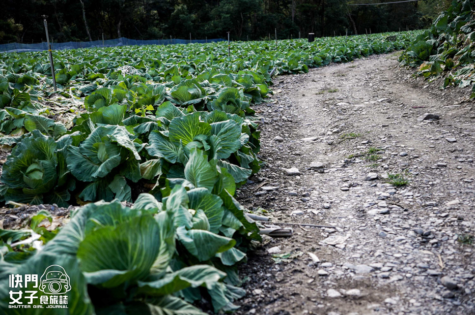 10百岳志佳陽單攻聖品希瑪農莊四季蘭溪吊橋高麗菜園.jpg 10百岳志佳陽單攻聖品希瑪農莊四季蘭溪吊橋高麗菜園.jpg