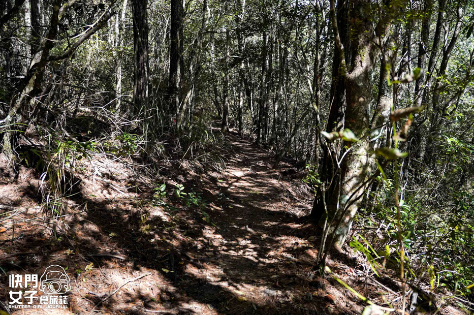 20台灣百岳志佳陽大山單攻聖品賽良久營地瓢簞山屋三角點基點.jpg 20台灣百岳志佳陽大山單攻聖品賽良久營地瓢簞山屋三角點基點.jpg