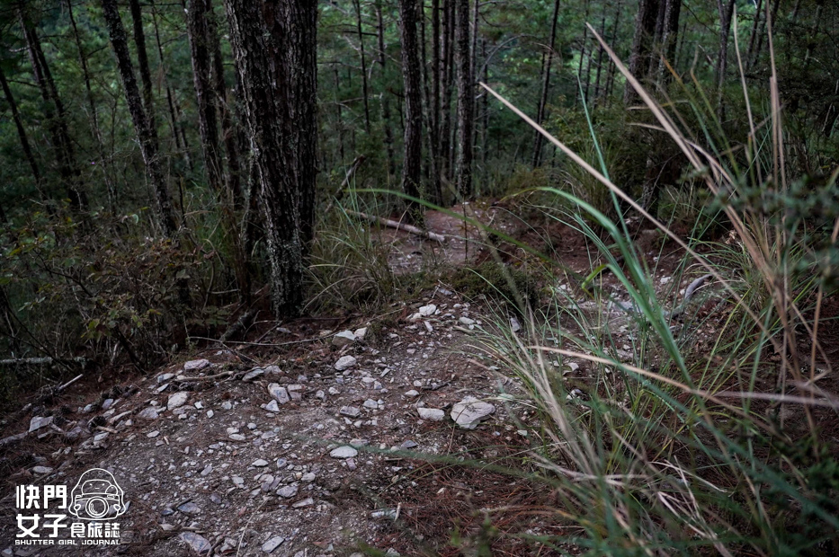 24台灣百岳志佳陽大山單攻聖品賽良久營地瓢簞山屋三角點基點.jpg 24台灣百岳志佳陽大山單攻聖品賽良久營地瓢簞山屋三角點基點.jpg