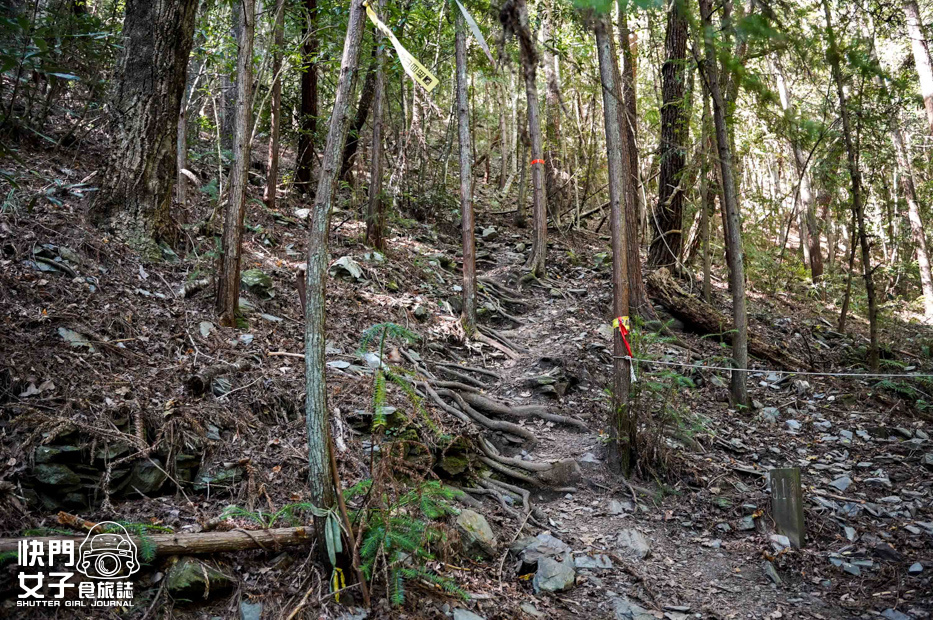 23台灣百岳志佳陽大山單攻聖品賽良久營地瓢簞山屋三角點基點.jpg 23台灣百岳志佳陽大山單攻聖品賽良久營地瓢簞山屋三角點基點.jpg