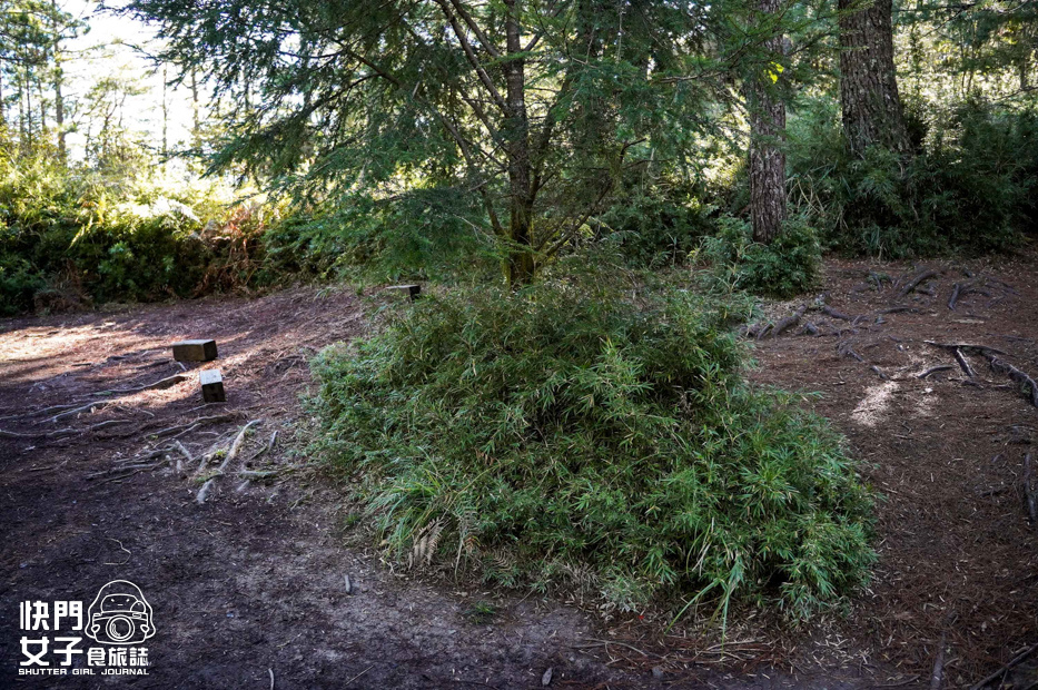 36台灣百岳志佳陽大山單攻聖品賽良久營地瓢簞山屋三角點基點.jpg 36台灣百岳志佳陽大山單攻聖品賽良久營地瓢簞山屋三角點基點.jpg