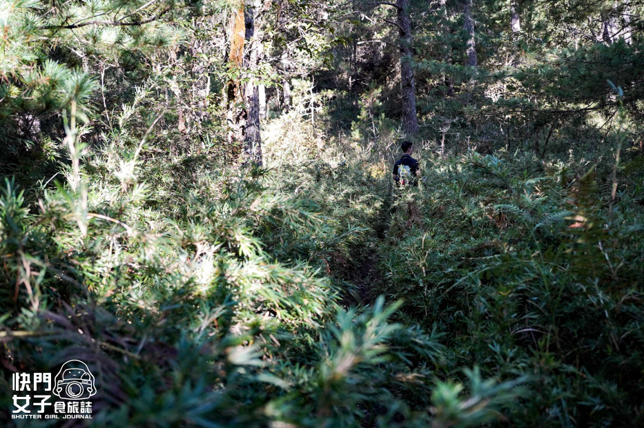 35台灣百岳志佳陽大山單攻聖品賽良久營地瓢簞山屋三角點基點.jpg 35台灣百岳志佳陽大山單攻聖品賽良久營地瓢簞山屋三角點基點.jpg