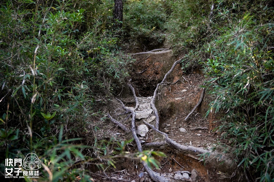 38台灣百岳志佳陽大山單攻聖品賽良久營地瓢簞山屋三角點基點.jpg 38台灣百岳志佳陽大山單攻聖品賽良久營地瓢簞山屋三角點基點.jpg