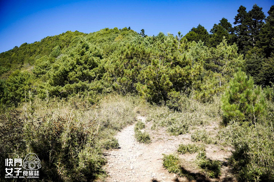 42台灣百岳志佳陽大山單攻聖品賽良久營地瓢簞山屋三角點基點.jpg 42台灣百岳志佳陽大山單攻聖品賽良久營地瓢簞山屋三角點基點.jpg