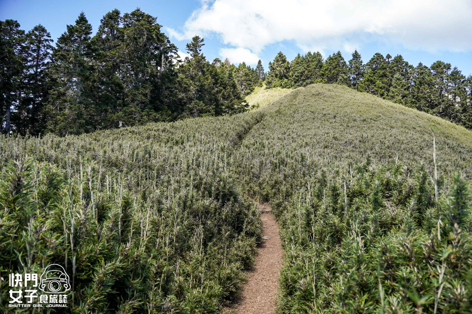 63台灣百岳志佳陽大山單攻聖品賽良久營地瓢簞山屋三角點基點.jpg 63台灣百岳志佳陽大山單攻聖品賽良久營地瓢簞山屋三角點基點.jpg