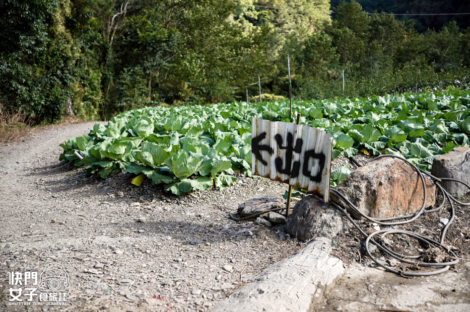 70台灣百岳志佳陽大山單攻聖品賽良久營地瓢簞山屋三角點基點.jpg 70台灣百岳志佳陽大山單攻聖品賽良久營地瓢簞山屋三角點基點.jpg