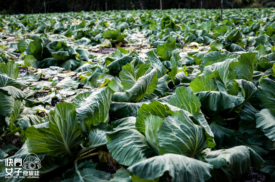 69台灣百岳志佳陽大山單攻聖品賽良久營地瓢簞山屋三角點基點.jpg 69台灣百岳志佳陽大山單攻聖品賽良久營地瓢簞山屋三角點基點.jpg