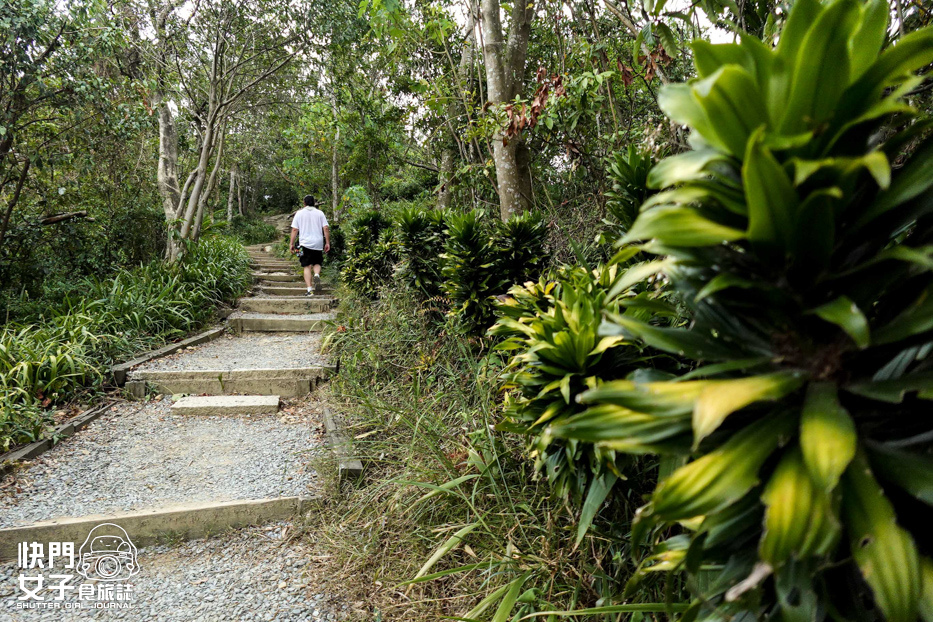 38新北小百岳南勢角山步道烘爐地南山福德宮發財金錢母財神爺.jpg 38新北小百岳南勢角山步道烘爐地南山福德宮發財金錢母財神爺.jpg