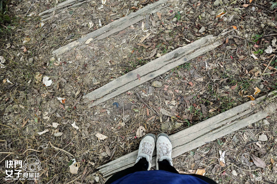 41新北小百岳南勢角山步道烘爐地南山福德宮發財金錢母財神爺.jpg 41新北小百岳南勢角山步道烘爐地南山福德宮發財金錢母財神爺.jpg